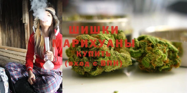 крисы Аркадак