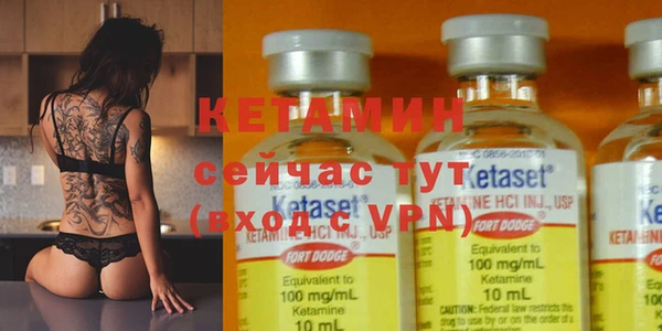 крисы Аркадак