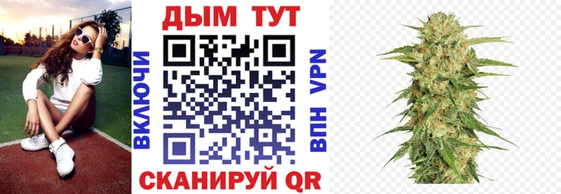 что такое   Нефтекумск  Каннабис SATIVA & INDICA 